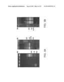 COMPOSITIONS COMPRISING FIBROUS POLYPEPTIDES AND POLYSACCHARIDES diagram and image