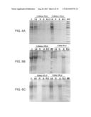 COMPOSITIONS COMPRISING FIBROUS POLYPEPTIDES AND POLYSACCHARIDES diagram and image