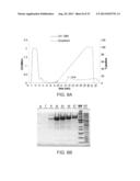 COMPOSITIONS COMPRISING FIBROUS POLYPEPTIDES AND POLYSACCHARIDES diagram and image