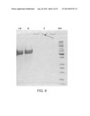 COMPOSITIONS COMPRISING FIBROUS POLYPEPTIDES AND POLYSACCHARIDES diagram and image