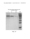 COMPOSITIONS COMPRISING FIBROUS POLYPEPTIDES AND POLYSACCHARIDES diagram and image