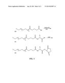 Crosslinked Polymers with the Crosslinker as Therapeutic for Sustained     Release diagram and image