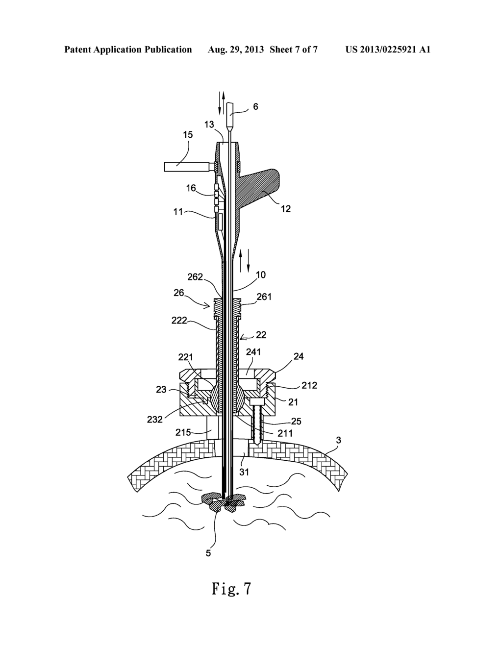 Combined endoscope and surgical instrument guide device - diagram, schematic, and image 08