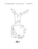 DETERMINATION OF TISSUE OXYGENATION IN VIVO diagram and image