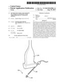 METHOD FOR GUIDING THE INSERTION OF A SURGICAL INSTRUMENT WITH THREE     DIMENSIONAL ULTRASONIC IMAGING diagram and image