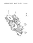 MINIATURE SHREDDING TOOL FOR USE IN MEDICAL APPLICATIONS AND METHODS FOR     MAKING diagram and image