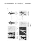 PERCEPTUALLY GUIDED CAPTURE AND STYLIZATION OF 3D HUMAN FIGURES diagram and image