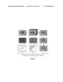 Lip-password Based Speaker Verification System diagram and image