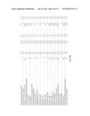 Methods and Systems for Modifying A Compiler to Generate A Profile of A     Source Code diagram and image