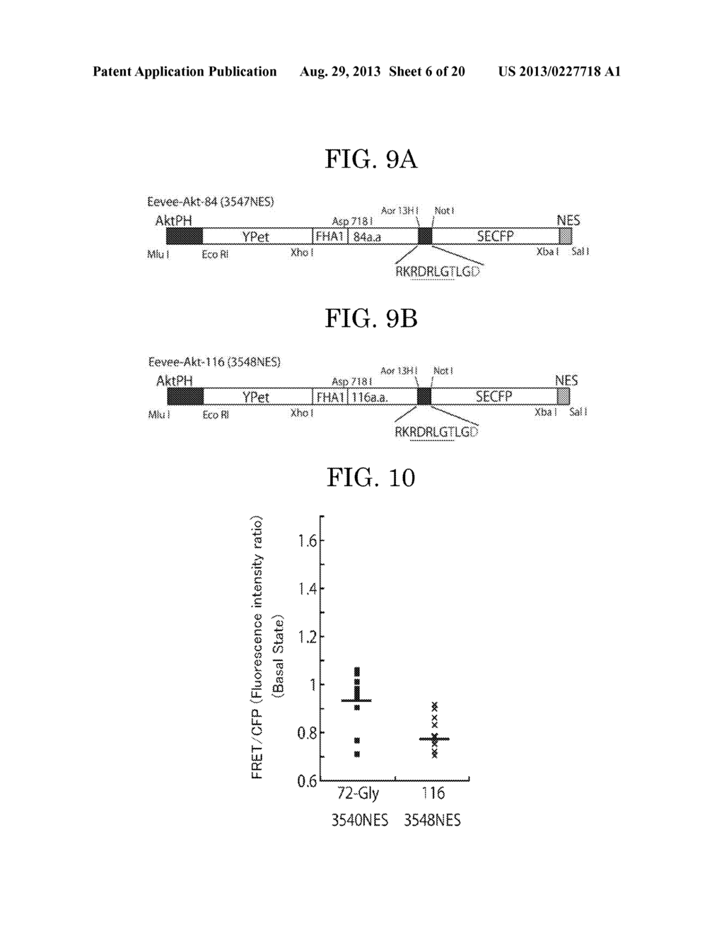 LINKER FOR UNIMOLECULAR FRET BIOSENSOR BASED ON PRINCIPLE OF FLUORESCENCE     RESONANCE ENERGY TRANSFER - diagram, schematic, and image 07