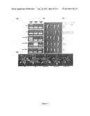 USE OF NAP GENE TO MANIPULATE LEAF SENESCENCE IN PLANTS diagram and image