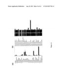 USE OF NAP GENE TO MANIPULATE LEAF SENESCENCE IN PLANTS diagram and image