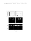 METHODS AND COMPOSITIONS TO REGULATE PLANT TRANSFORMATION SUSCEPTIBILITY diagram and image