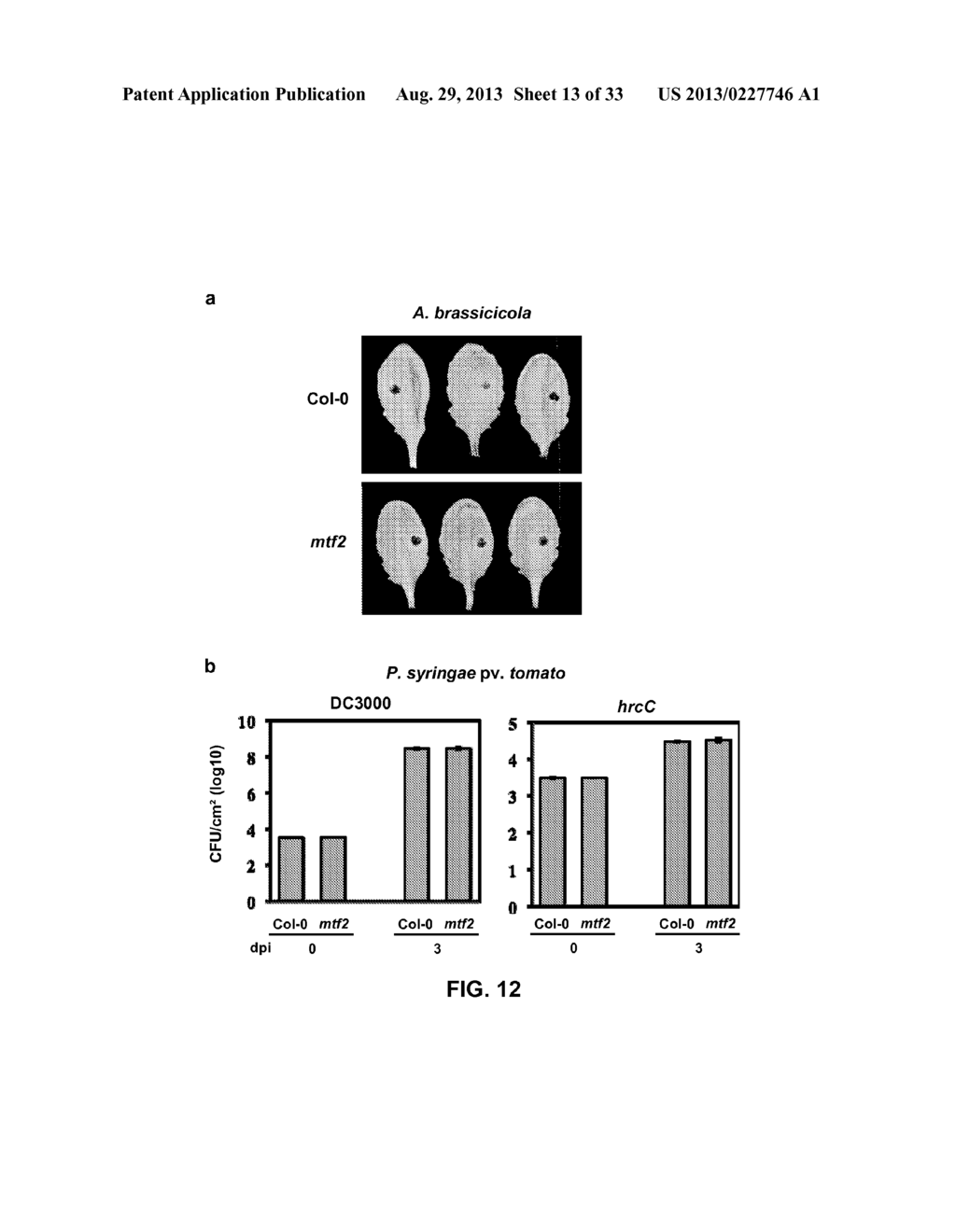 METHODS AND COMPOSITIONS TO REGULATE PLANT TRANSFORMATION SUSCEPTIBILITY - diagram, schematic, and image 14