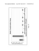 METHODS AND COMPOSITIONS TO REGULATE PLANT TRANSFORMATION SUSCEPTIBILITY diagram and image