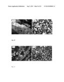 APPARATUS AND METHOD FOR LIQUID METALS TREATMENT diagram and image