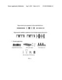 FABRICATION OF MULTILAYERED NANOSIZED POROUS MEMBRANES AND THEIR USE FOR     MAKING NOVEL NANOSTRUCTURES diagram and image