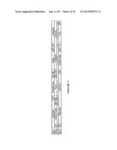 HYDROGEN GENERATION PROCESS USING PARTIAL OXIDATION/STEAM REFORMING diagram and image