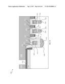 SHIELDED GATE TRENCH MOS WITH IMPROVED SOURCE PICKUP LAYOUT diagram and image