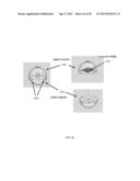 SYSTEM FOR REMOTE CONTROL THROUGH COMPUTING CLOUD diagram and image