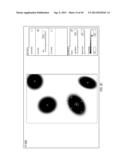 Methods and Apparatus for Applying a Bokeh Effect to Images diagram and image