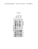 Cell Permeable Inhibitors of Anaphase Promoting Complex diagram and image