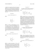 RADIOLABELLED mGluR2 PET LIGANDS diagram and image