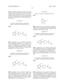 RADIOLABELLED mGluR2 PET LIGANDS diagram and image