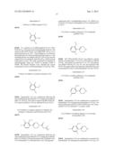 RADIOLABELLED mGluR2 PET LIGANDS diagram and image