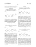 RADIOLABELLED mGluR2 PET LIGANDS diagram and image