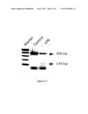 Piggy-Back Delivery of Nucleic Acids Into Organisms diagram and image