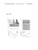 COMPOSITIONS AND METHODS TO INDUCE TARGETED APOPTOSIS diagram and image