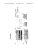 COMPOSITIONS AND METHODS TO INDUCE TARGETED APOPTOSIS diagram and image