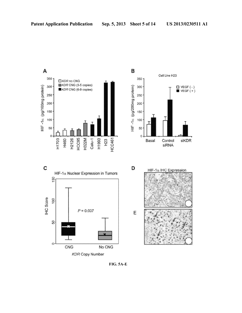 BIOMARKERS FOR RESPONSE TO TYROSINE KINASE PATHWAY INHIBITORS IN CANCER - diagram, schematic, and image 06