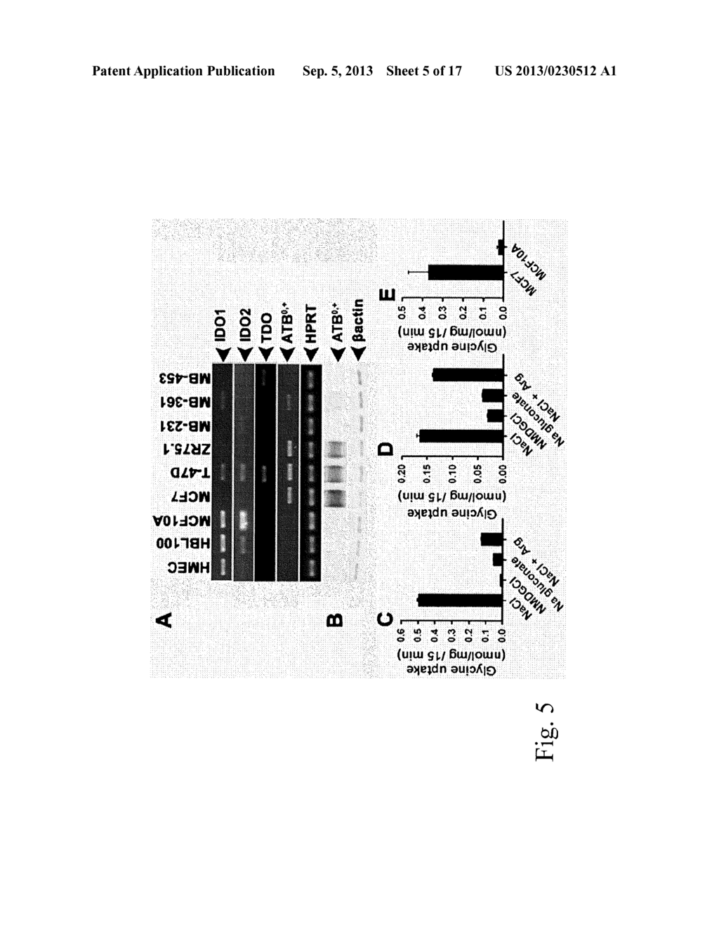 INHIBITORS OF THE ATB(0,+) TRANSPORTER AND USES THEREOF - diagram, schematic, and image 06