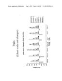 METHODS FOR TREATING SJOGRENS SYNDROME BY ADMINISTERING A SOLUBLE CTLA4     MOLECULE diagram and image