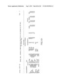 METHODS FOR TREATING SJOGRENS SYNDROME BY ADMINISTERING A SOLUBLE CTLA4     MOLECULE diagram and image