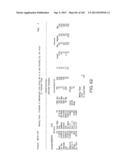 METHODS FOR TREATING SJOGRENS SYNDROME BY ADMINISTERING A SOLUBLE CTLA4     MOLECULE diagram and image