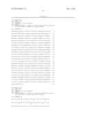 Tumor-Targeting Monoclonal Antibodies to FZD10 and Uses Thereof diagram and image