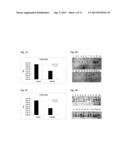 KLEBSIELLA ANTIGENS diagram and image