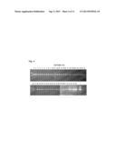 KLEBSIELLA ANTIGENS diagram and image