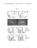 Anti-Leukocyte Recruitment Therapy for the Treatment of Seizures and     Epilepsy diagram and image