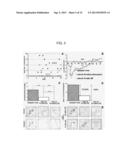 Anti-Leukocyte Recruitment Therapy for the Treatment of Seizures and     Epilepsy diagram and image