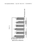 Anti-Leukocyte Recruitment Therapy for the Treatment of Seizures and     Epilepsy diagram and image