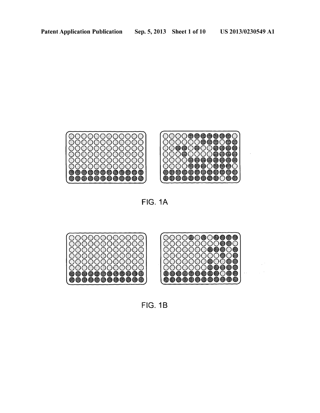 FOOT AND MOUTH DISEASE VIRUS WITH INCREASED STABILITY AND ITS USE AS     VACCINE - diagram, schematic, and image 02