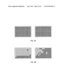 FOOT AND MOUTH DISEASE VIRUS WITH INCREASED STABILITY AND ITS USE AS     VACCINE diagram and image