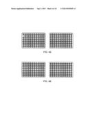 FOOT AND MOUTH DISEASE VIRUS WITH INCREASED STABILITY AND ITS USE AS     VACCINE diagram and image