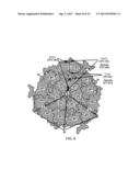 FOOT AND MOUTH DISEASE VIRUS WITH INCREASED STABILITY AND ITS USE AS     VACCINE diagram and image