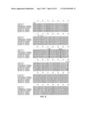 FOOT AND MOUTH DISEASE VIRUS WITH INCREASED STABILITY AND ITS USE AS     VACCINE diagram and image