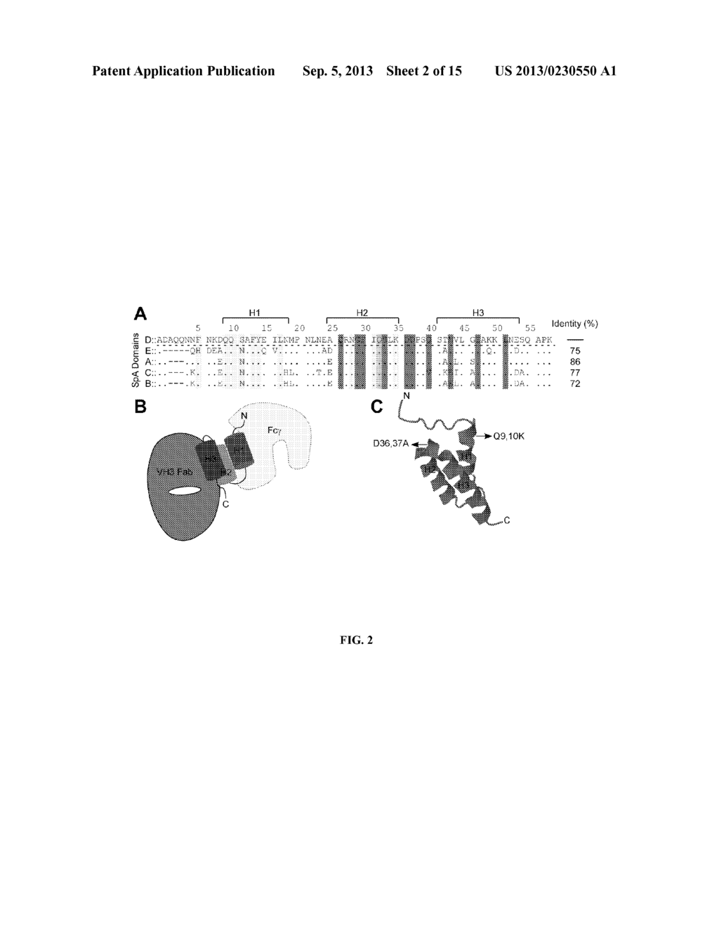 METHODS AND COMPOSITIONS INVOLVING PROTECTIVE STAPHYLOCOCCAL ANTIGENS - diagram, schematic, and image 03